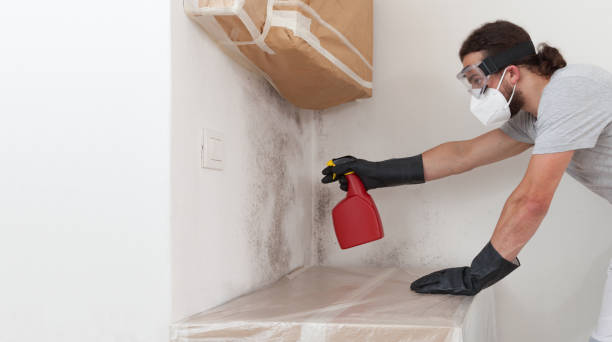 Professional Bathroom Mold Removal technician working in Immaculata, PA