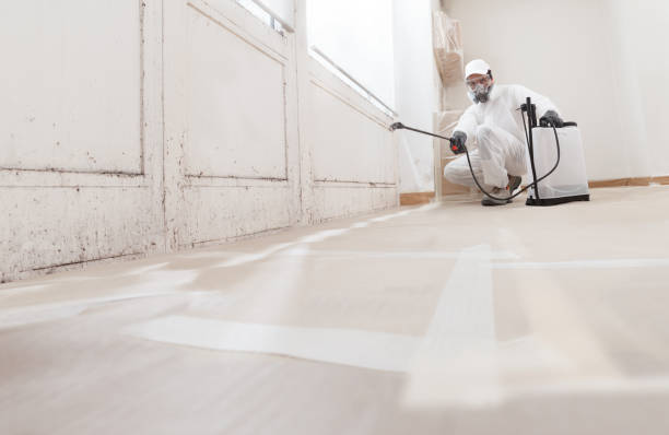 24/7 Emergency Bathroom Mold Removal experts in Immaculata, PA